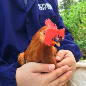 Chicken Glasses